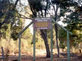 Carroll Nature Reserve Kokoda Track - Accommodation Redcliffe