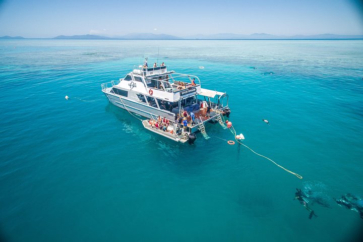 Ocean Freedom Great Barrier Reef Personal Luxury Snorkel  Dive Cruise Cairns - Accommodation Redcliffe